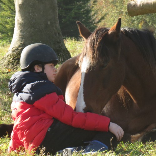 Sitting with horses