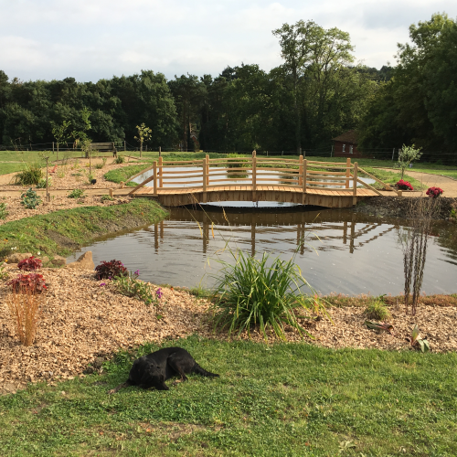 Finished pond