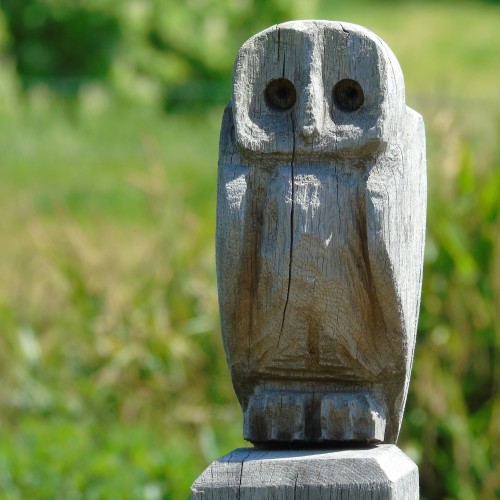 Owl on bridge