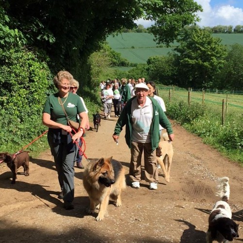 Sponsored Walk