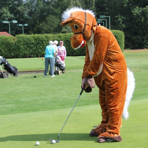 Pony Golf